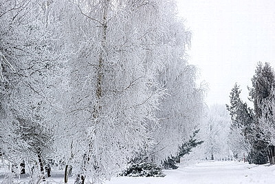 ФОТОХРОНИКА начинает новый информационный день