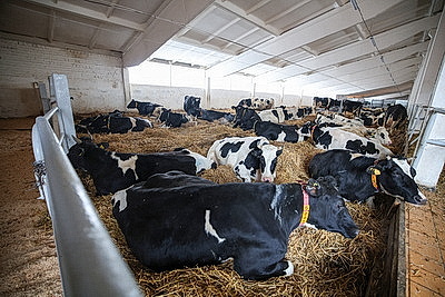 Лукашенко посетил МТК в Логойском районе