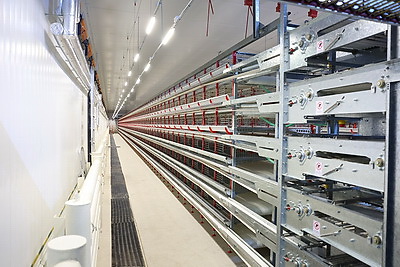 Турчин посетил Солигорскую птицефабрику