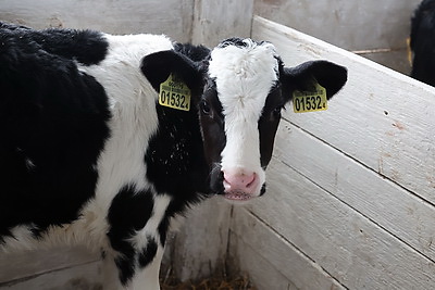 Крутой с рабочей поездкой посетил Климовичский район