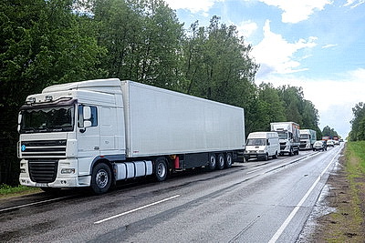 Поваленный на дорогу сильным ветром дуб стал причиной затора на трассе Бобруйск - Могилев