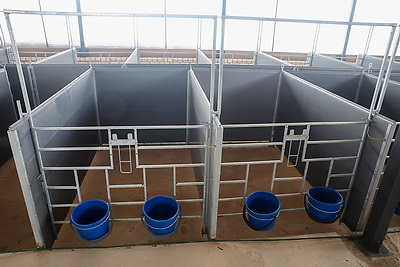 Сильная экономика, обороноспособность. На БЦЗ состоялась встреча с главой Минстройархитектуры