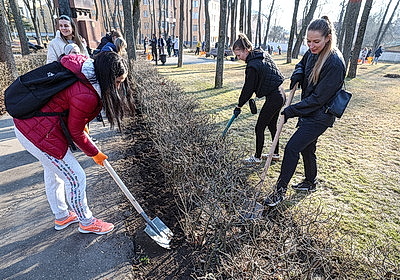 Покраска ограждений, уборка прошлогодней листвы. В Витебске прошел первый городской субботник