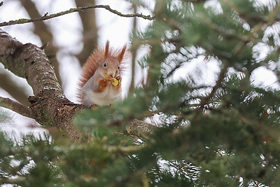 ФОТОХРОНИКА начинает новый информационный день