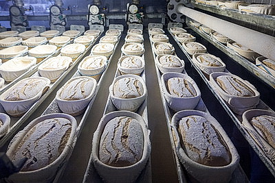 Для улучшения качества. На Оршанском хлебозаводе модернизировали линию производства хлеба