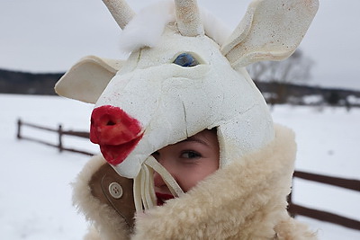 Колядное волшебство. Как в Могилевском районе встречают туристов из разных стран