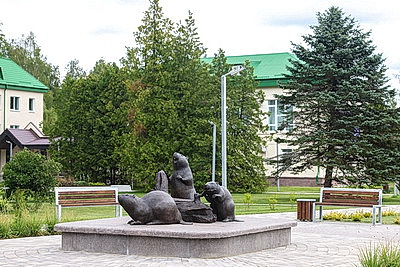 От экомаршрутов до лесного зоопарка. Чем Березинский заповедник привлекает 100 тыс. туристов в год
