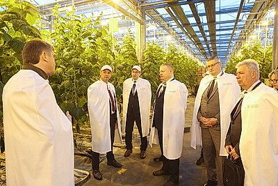 Минский парниково-тепличный комбинат к 8 Марта вырастит более 200 тыс. тюльпанов и около 60 тыс. роз