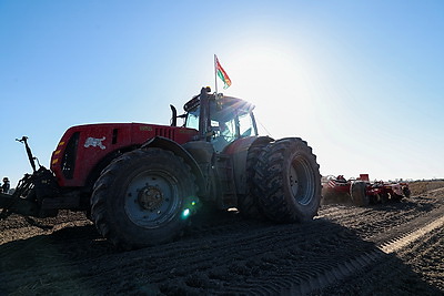 В Минской области весенний сев начали с ярового ячменя