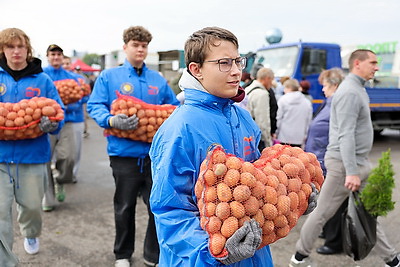 Волонтеры БРСМ помогают пенсионерам с доставкой продукции с сельхозярмарок