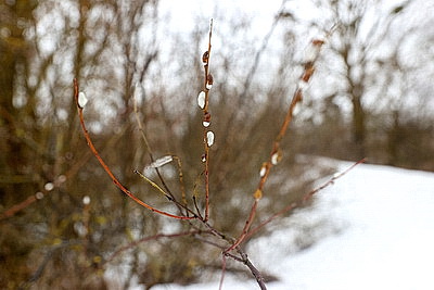 ФОТОХРОНИКА начинает новый информационный день