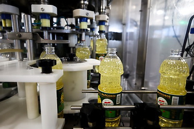 Ученый: рапсовое масло входит в тройку лучших растительных масел для питания человека