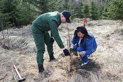 Республиканский субботник: коллектив Администрации Президента принял участие в благоустройстве мемориального комплекса и посадке леса