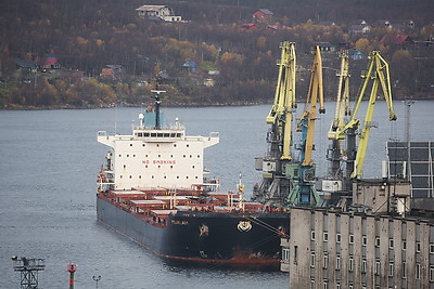 Мурманская область заинтересована в транспортировке белорусских грузов через Мурманский морской торговый порт