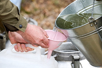 В Гродненской области приступили к заготовке березового сока