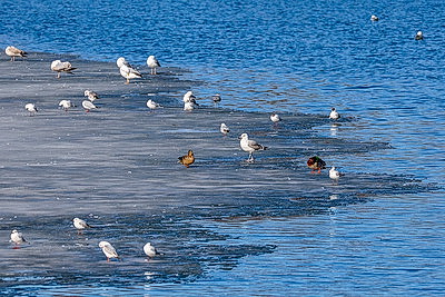 ФОТОХРОНИКА начинает новый информационный день
