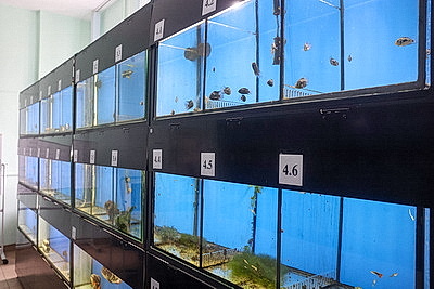 Специалистов для рыбоводства готовят в БГСХА