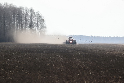 Аграрии Брестской области продолжают сев ранних яровых зерновых и зернобобовых культур