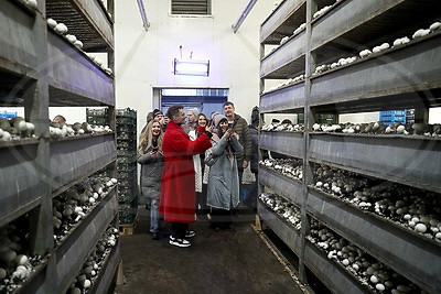 "Марафон единства": блогеры посетили с экскурсией предприятия Барановичей