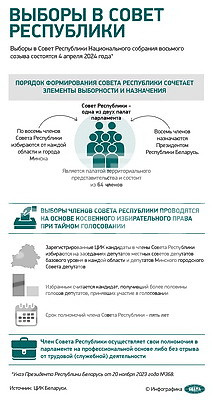 Инфографика. Выборы в Совет Республики