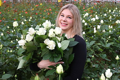 Около 10 тыс. тюльпанов и более 30 тыс. роз вырастил "Витебский Зеленстрой" к 8 Марта