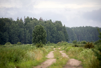 ФОТОХРОНИКА начинает новый информационный день