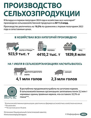 Инфографика. Производство сельхозпродукции