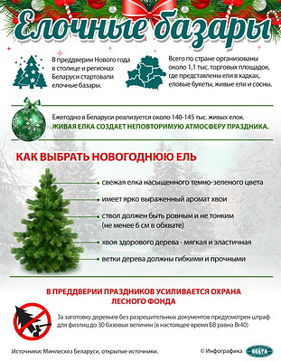 Инфографика. Елочные базары
