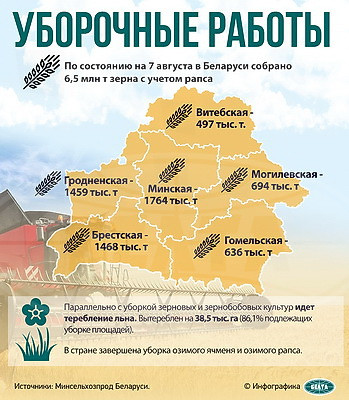 Инфографика. Уборочные работы