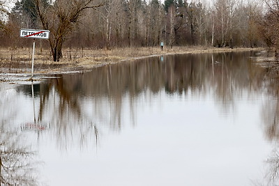 Подтопления паводковыми и талыми водами зафиксированы в Петриковском районе