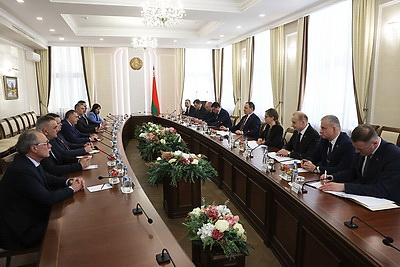 Головченко провел встречу с Президентом Республики Сербской Боснии и Герцеговины