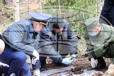 В урочище Волчий Дуб обнаружены останки четырех жертв карательной операции времен ВОВ