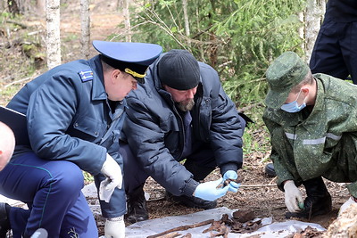 В урочище Волчий Дуб обнаружены останки четырех жертв карательной операции времен ВОВ