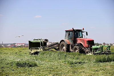 Первый укос многолетних трав ведут хозяйства Гродненской области