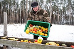 В рацион диких животных в Гродненской области добавляют овощи и фрукты