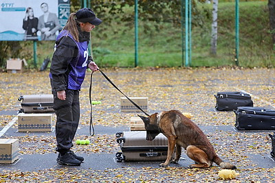 В Беларуси проходит чемпионат по служебному многоборью кинологов