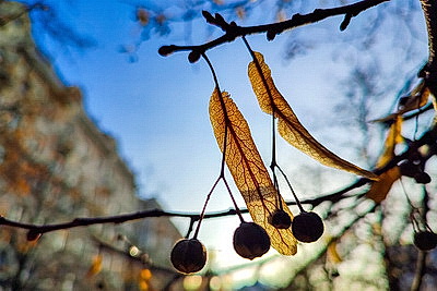 ФОТОХРОНИКА начинает новый информационный день