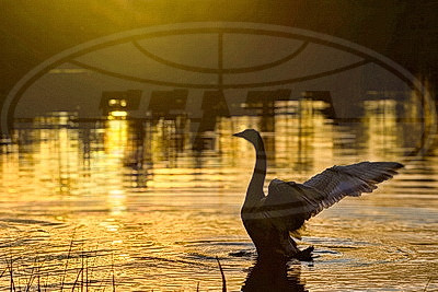 ФОТОХРОНИКА начинает новый информационный день