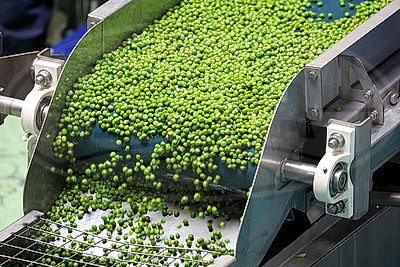 Перспективы развития консервной отрасли обсудили на республиканском семинаре в Быхове