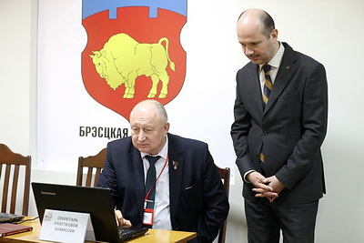 "Нет никаких нареканий". Наблюдатель от СНГ об избирательной кампании в Беларуси