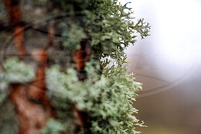 ФОТОХРОНИКА начинает новый информационный день