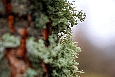 ФОТОХРОНИКА начинает новый информационный день