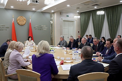 Законопроект по вопросам административной ответственности рассмотрен на заседании экспертного совета