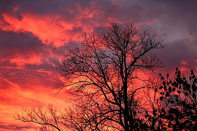 ФОТОХРОНИКА начинает новый информационный день