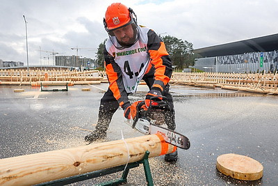На выставке "Лесдревтех" состоялись соревнования лесорубов