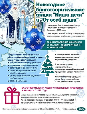 Инфографика. Новогодние благотворительные акции "Наши дети" и "От всей души"
