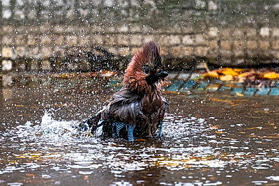ФОТОХРОНИКА начинает новый информационный день