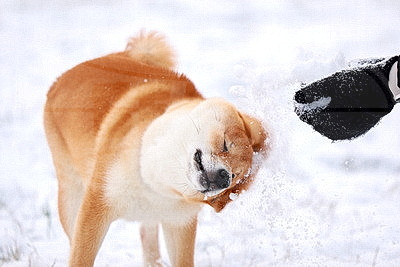 ФОТОХРОНИКА начинает новый информационный день