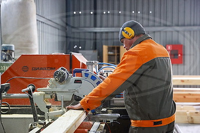 Производства по выпуску поддонов намерены наладить в Дрогичинском и Лунинецком лесхозах