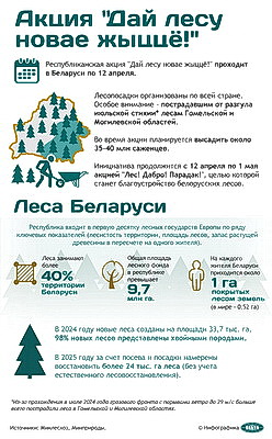 Инфографика. Акция "Дай лесу новае жыццё!"